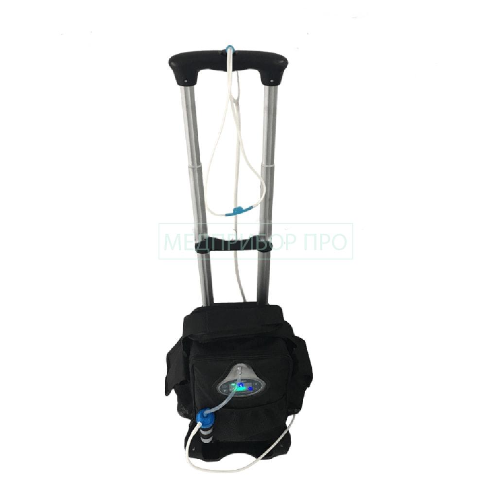 Портативный концентратор кислорода с ручкой LG102 Портативный концентратор кислорода с ручкой LG102