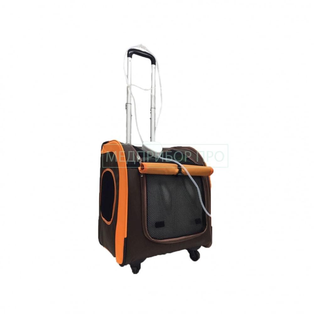 Концентратор кислорода для прогулки на свежем воздухе Концентратор кислорода для прогулки на свежем воздухе