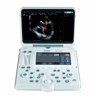 Портативный УЗИ MyLab Alpha от Esaote