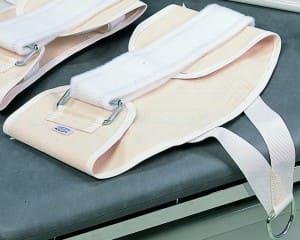 Тазовый пояс Тазовый пояс