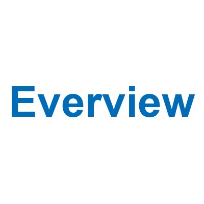Логотип Everview