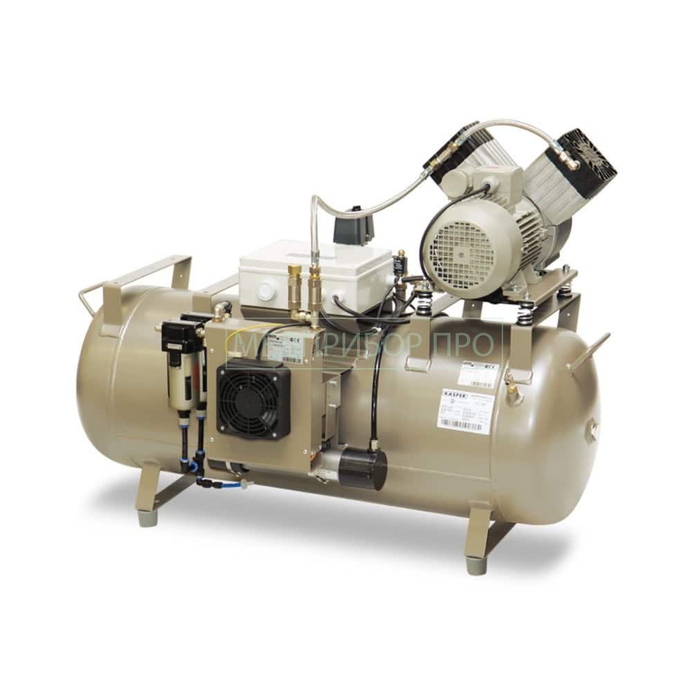 Ekom DK50 2V/110S/M - кoмпрeccoр безмасляный двухпоршневой