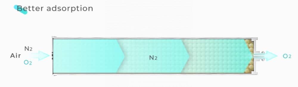 Kingon P2